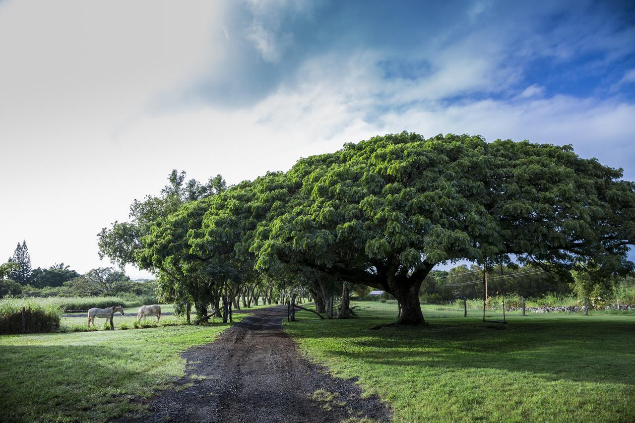Puakea Ranch Hotel Hawi Eksteriør billede