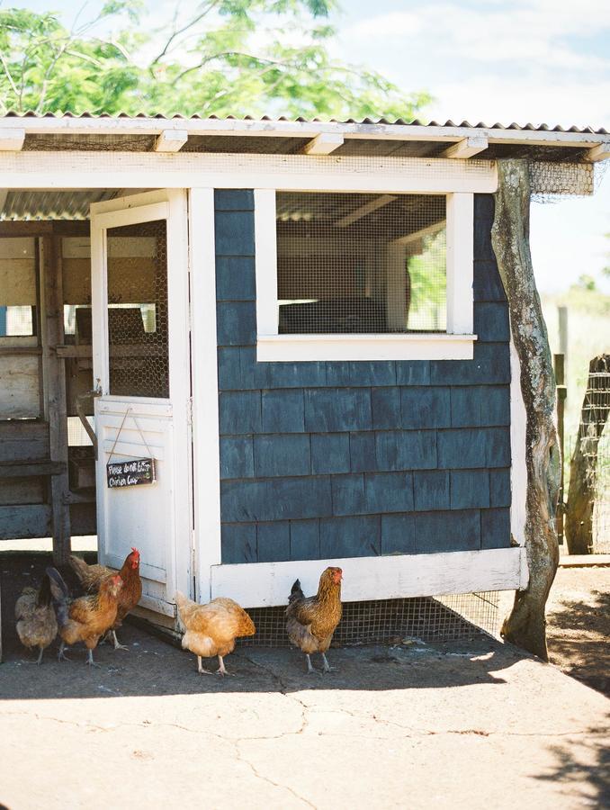 Puakea Ranch Hotel Hawi Eksteriør billede